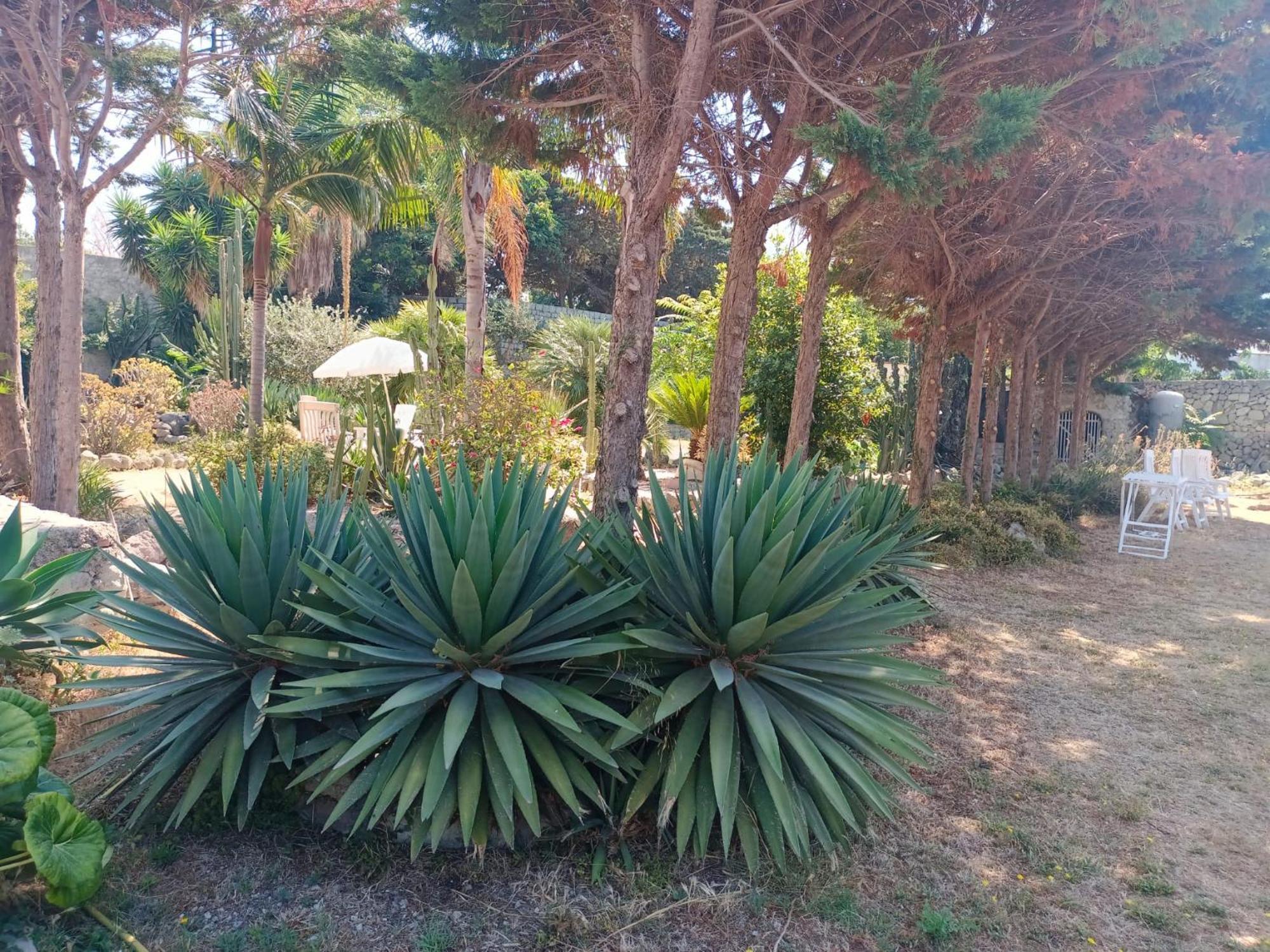 Relais Villa Raffaele By Emilia Ischia Exterior photo