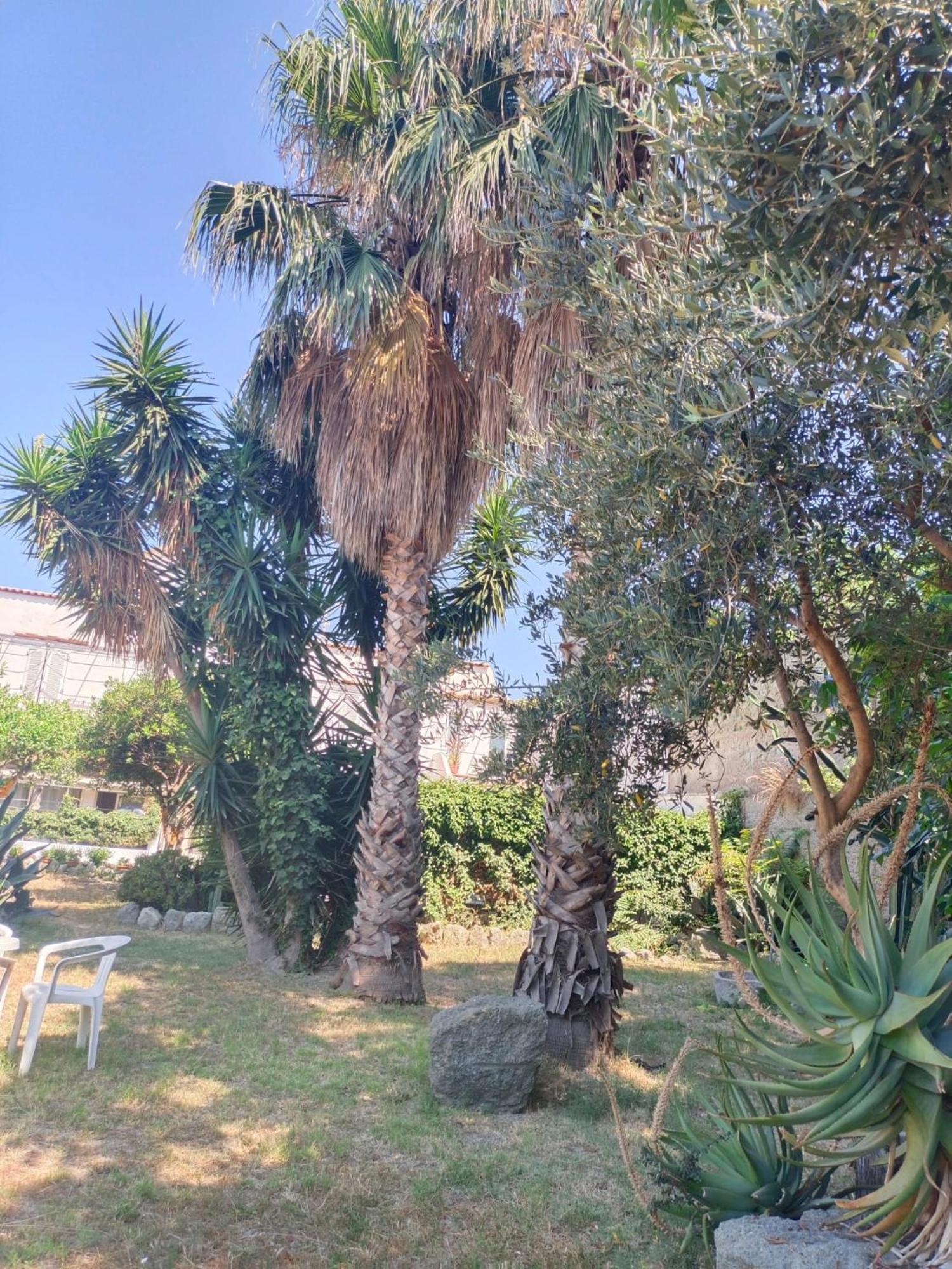Relais Villa Raffaele By Emilia Ischia Exterior photo