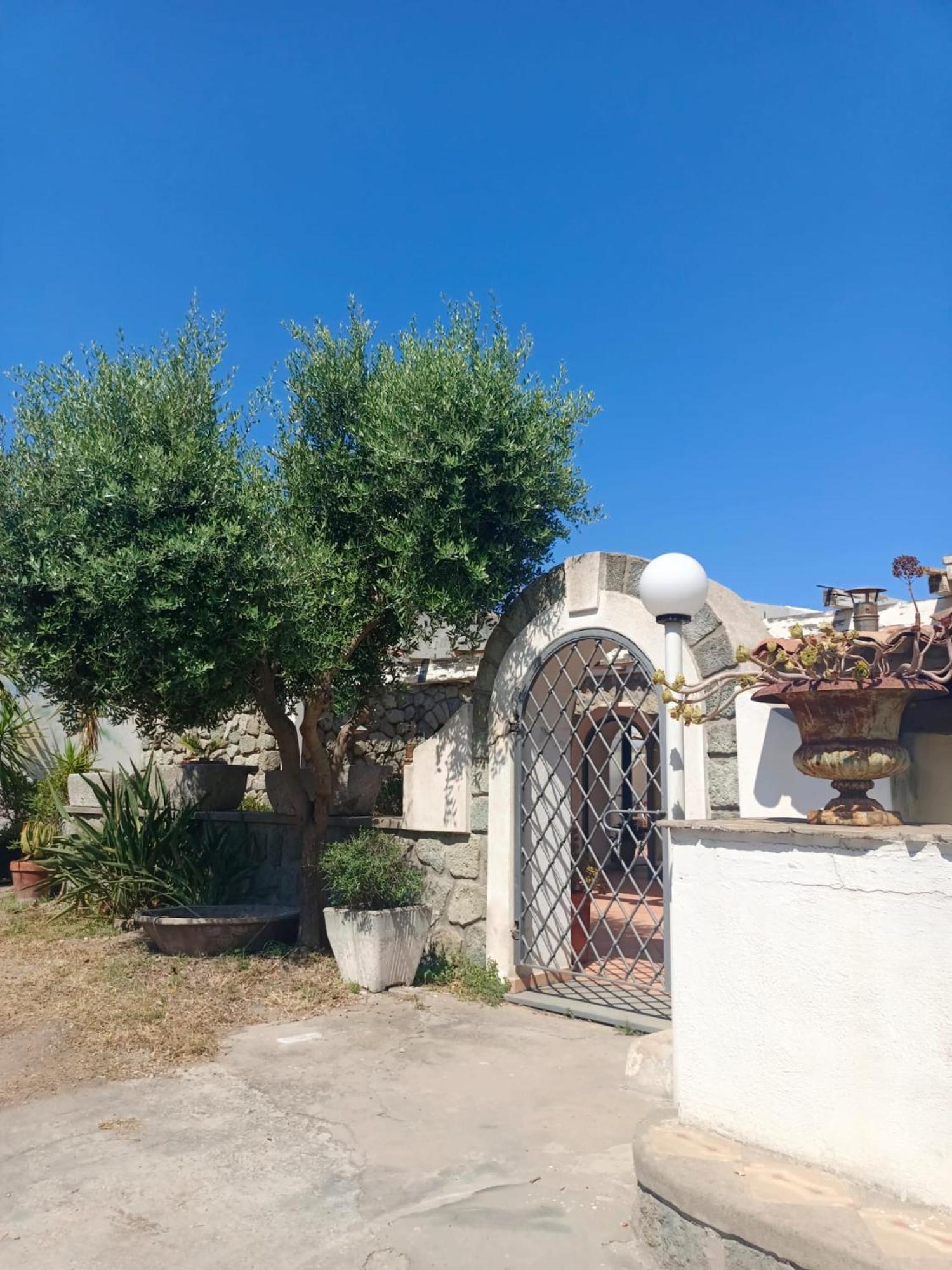 Relais Villa Raffaele By Emilia Ischia Exterior photo